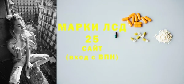 ПСИЛОЦИБИНОВЫЕ ГРИБЫ Баксан