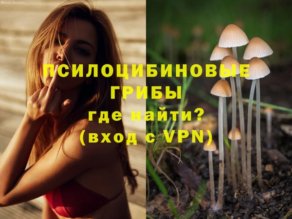 ПСИЛОЦИБИНОВЫЕ ГРИБЫ Баксан