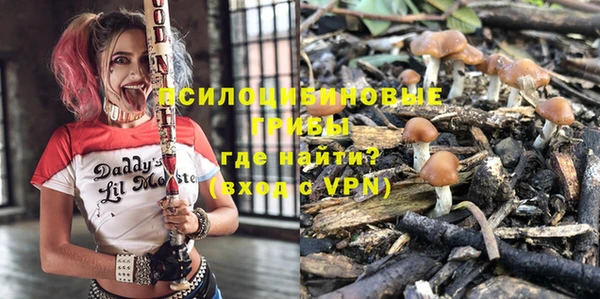 спайс Покачи